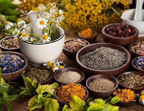 Herbal  Grinder