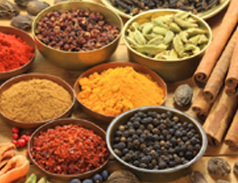 Food Ultrafine Grinder