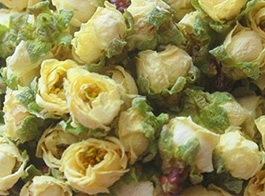 White Mume Flower