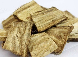 The root of kudzu vine