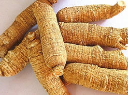 American Ginseng