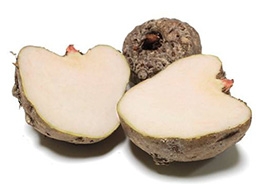 Konjac