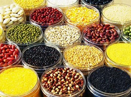 Grain Beans