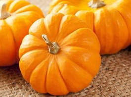 Pumpkin