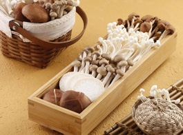 Mushrooms
