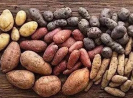 Yam ingredients