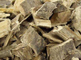 Poplar bark