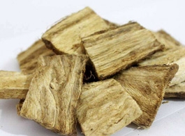 Kudzu
