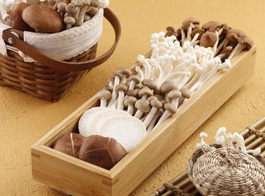 Mushrooms